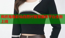 枫桥海角彩仙自然村智慧服务平台全新上线