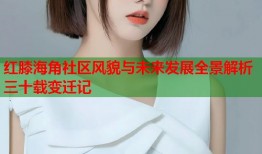 红膝海角社区风貌与未来发展全景解析三十载变迁记