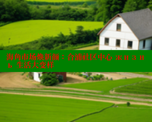 海角市场焕新颜：合浦社区中心 жизнь 生活大变样