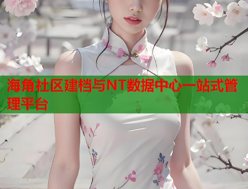 海角社区建档与NT数据中心一站式管理平台 海角社区建档与NT数据中心一站式管理平台