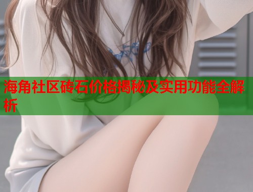 海角社区砖石价格揭秘及实用功能全解析