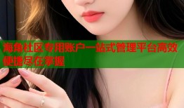 海角社区专用账户一站式管理平台高效便捷尽在掌握