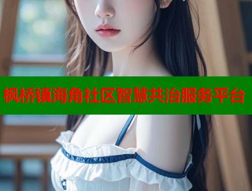 枫桥镇海角社区智慧共治服务平台