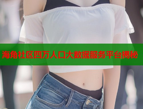 海角社区四万人口大数据服务平台揭秘